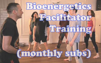 Bioenergetics Facilitator Training (monthly subs)