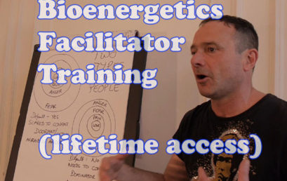 Bioenergetics Facilitator Training (lifetime access)