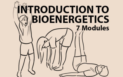 Introduction to Bioenergetics (7 modules)