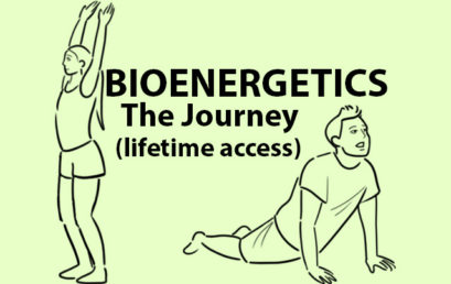 Bioenergetics – The Journey (lifetime access)