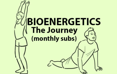 Bioenergetics – The Journey (monthly subs)