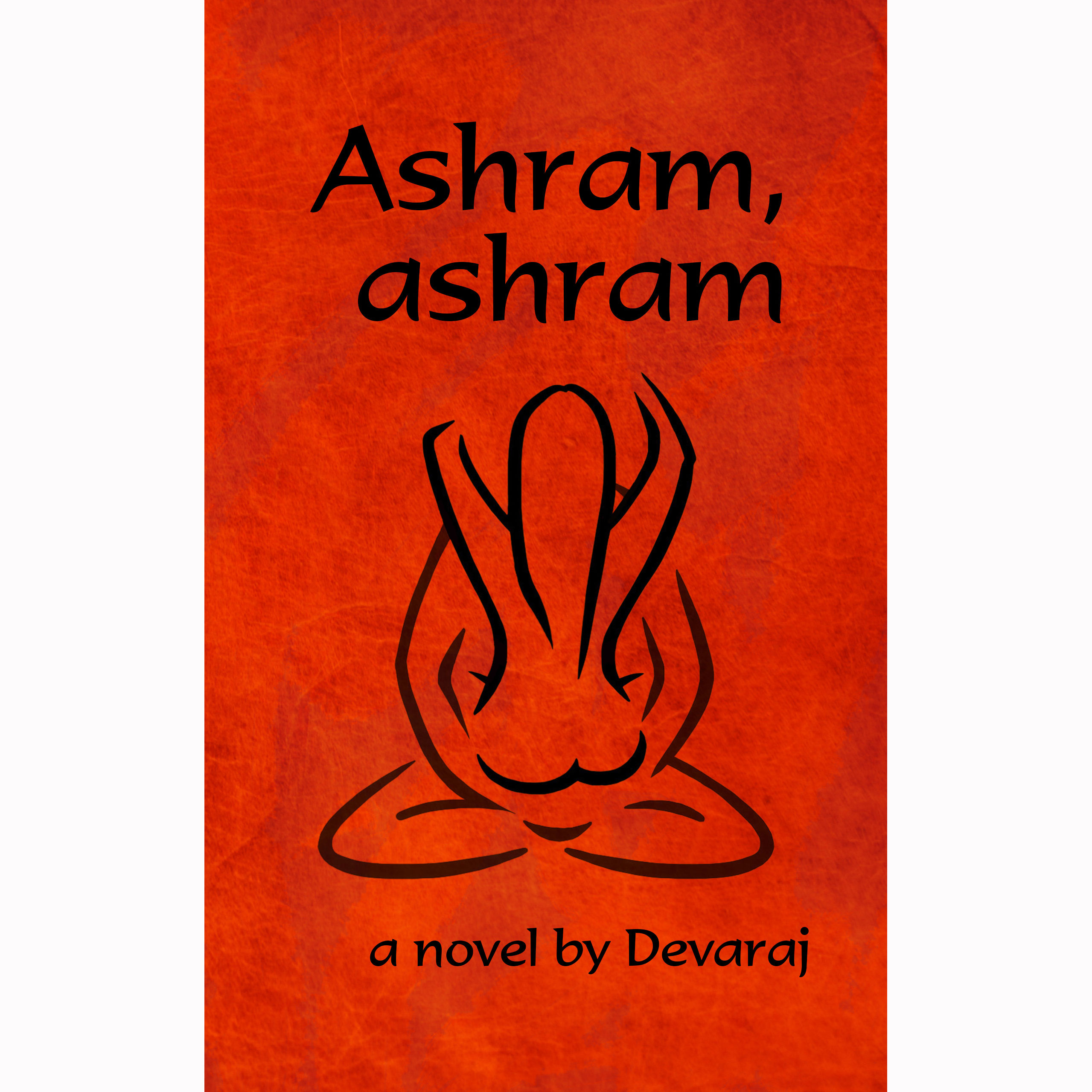 Ashram, Ashram (novel, 2017)